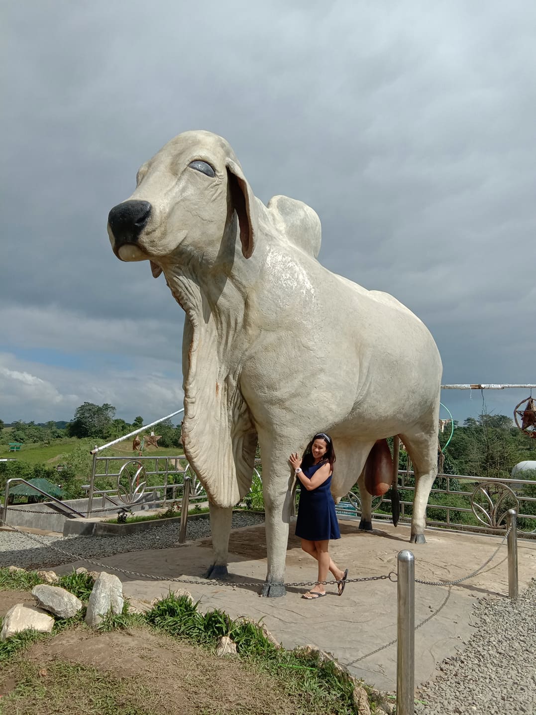 81464022_1145863439095476_7247322133028667392_n