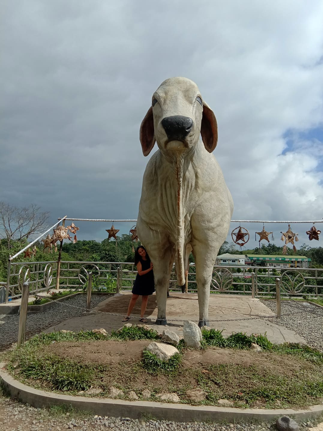 81465155_500184920852122_2081838667768266752_n