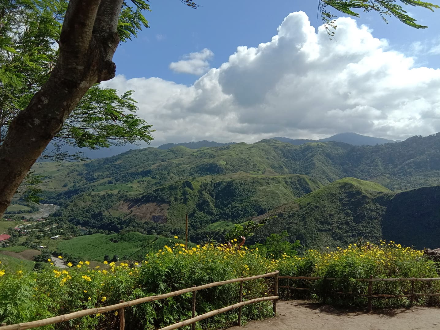 81772606_2496725233978807_7317552128287834112_n