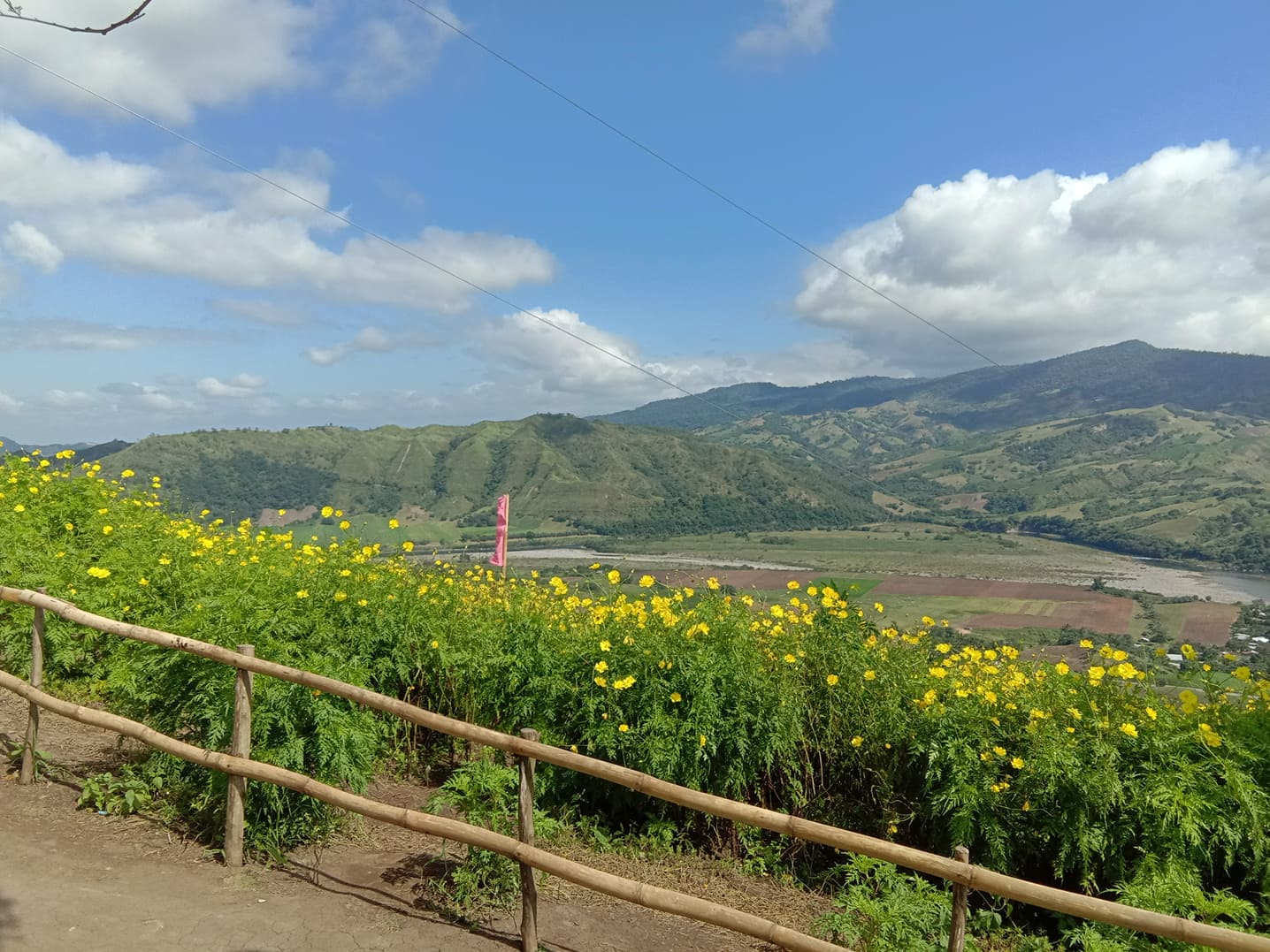 82393737_2586153154832773_3449958606798061568_n